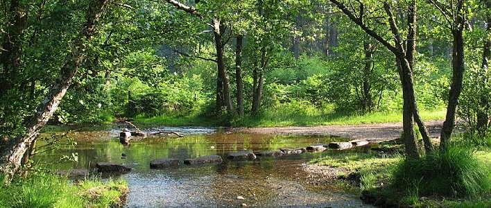 Cannock Chase, Staffordshire