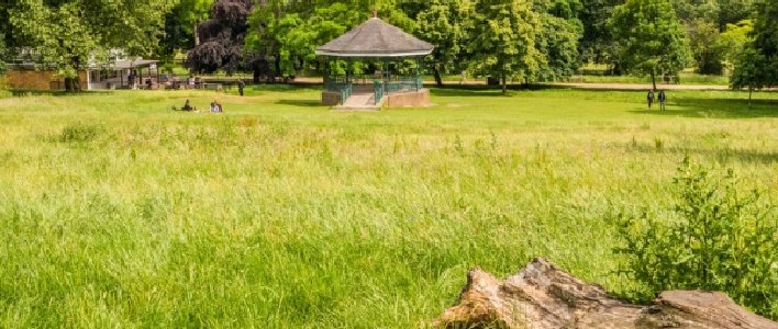 Hampstead Heath, Greater London