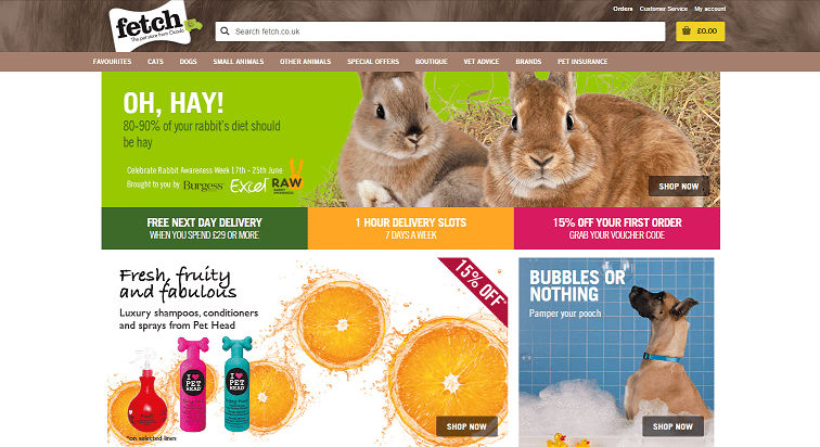 Fetch Petstore Homepage Screenshot