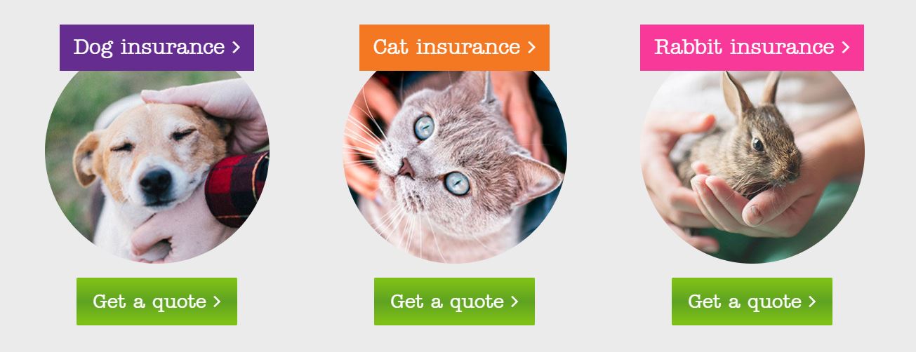 Petplan Homepage