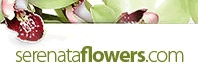 Serenata Flowers