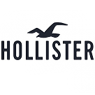 Hollister student discount